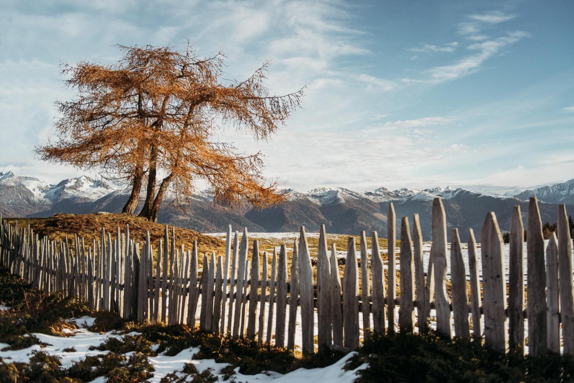 Oberhauser Huette Rodenecker - Luesner Alm Luson Buitenkant foto