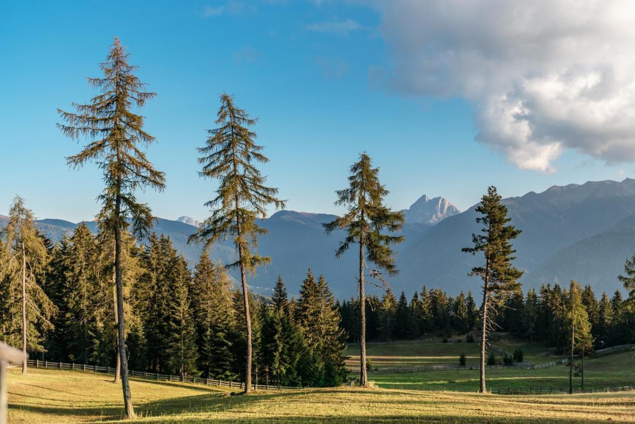 Oberhauser Huette Rodenecker - Luesner Alm Luson Buitenkant foto