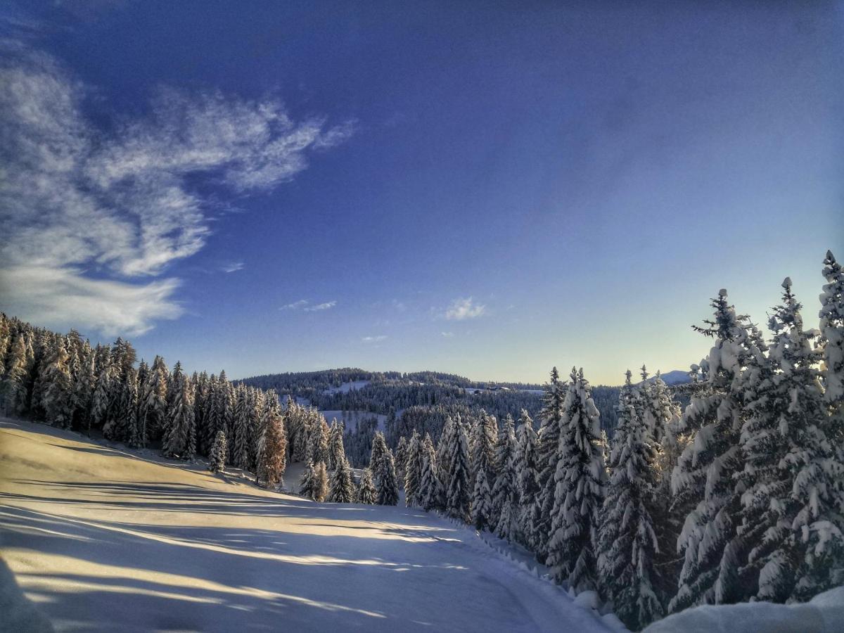 Oberhauser Huette Rodenecker - Luesner Alm Luson Buitenkant foto