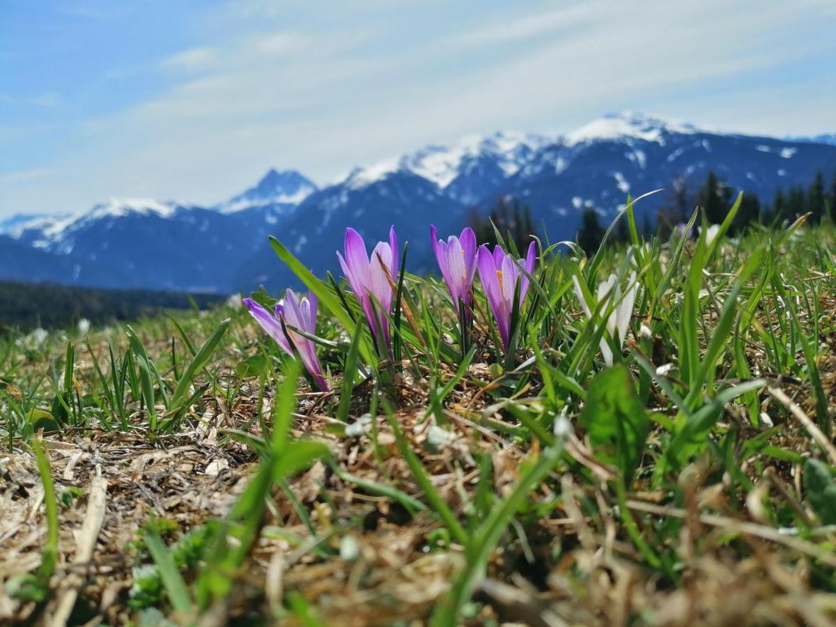 Oberhauser Huette Rodenecker - Luesner Alm Luson Buitenkant foto